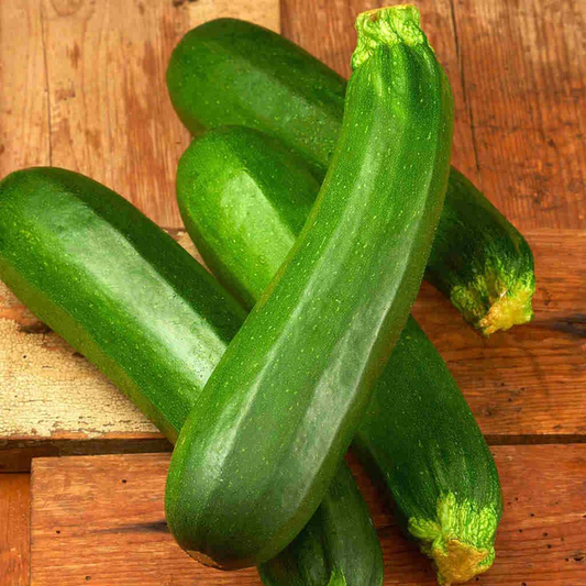 McKenzie Seeds Zucchini Seeds, Dark Green