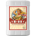 Advanced Nutrients B-52 肥料增效剂 - 23 升