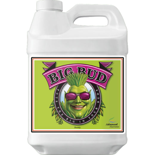 高级营养液 Big Bud - 500 毫升