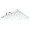 Agrobrite T5 Fixture - 2 Feet 4 Tube