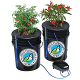 Alfred Horticulture Deep Water Culture System - 2 System