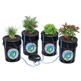 Alfred Horticulture Deep Water Culture System - 4 System