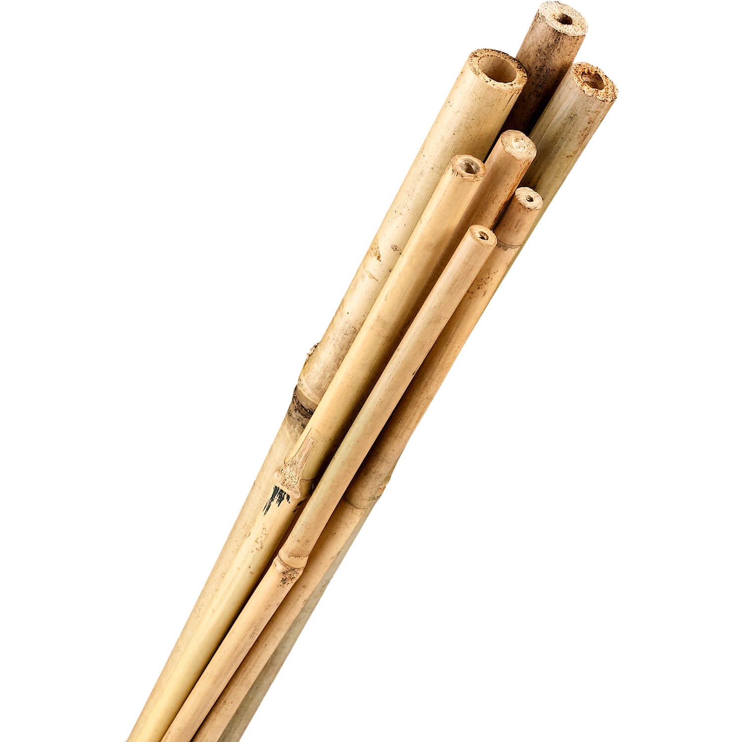 Bamboo Stake - 4 Feet Package of 25