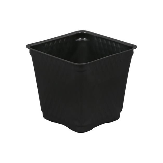Black Square Pot - 0.5 Gallon