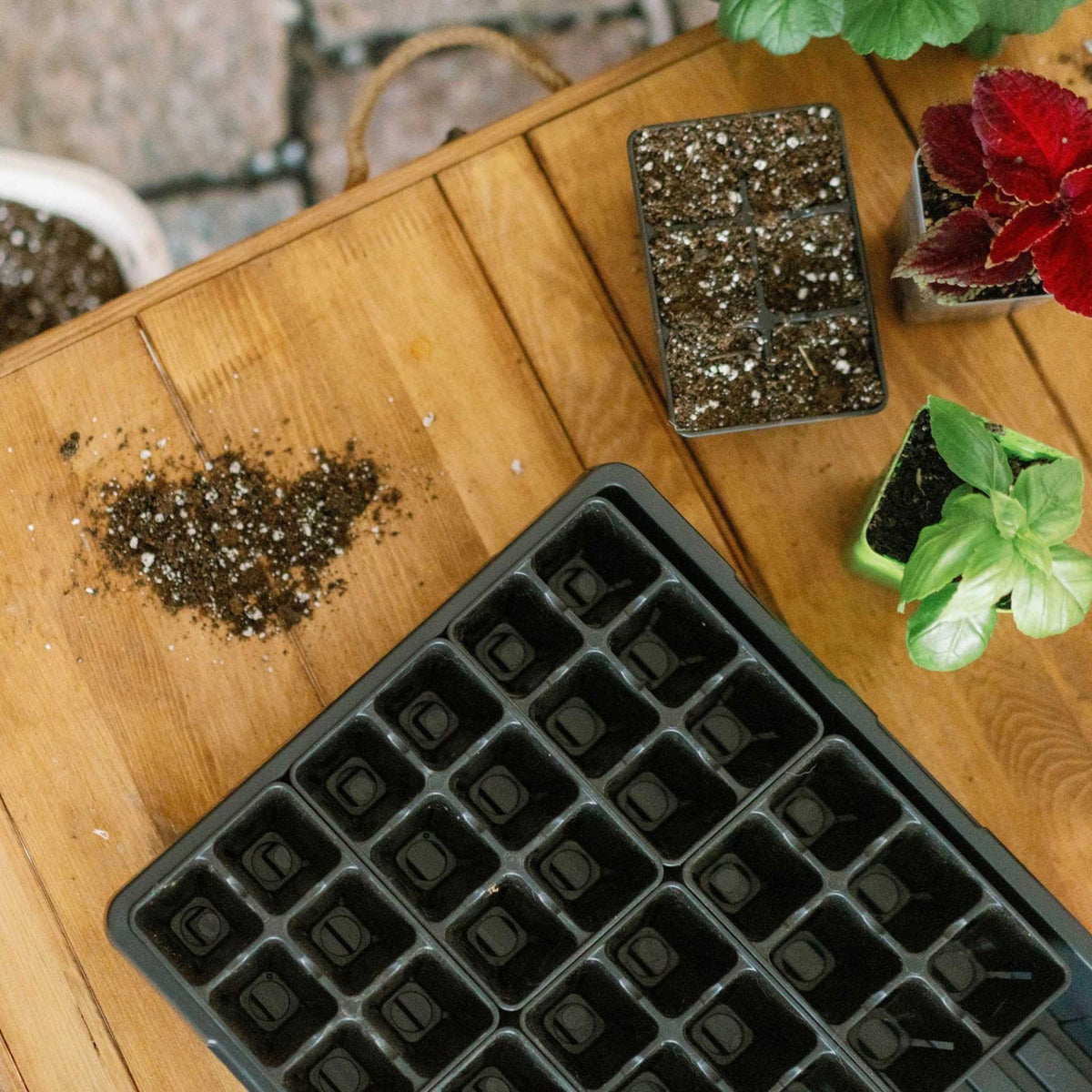 Bootstrap Farmer Heavy Duty 6 Cell Tray Inserts - Black