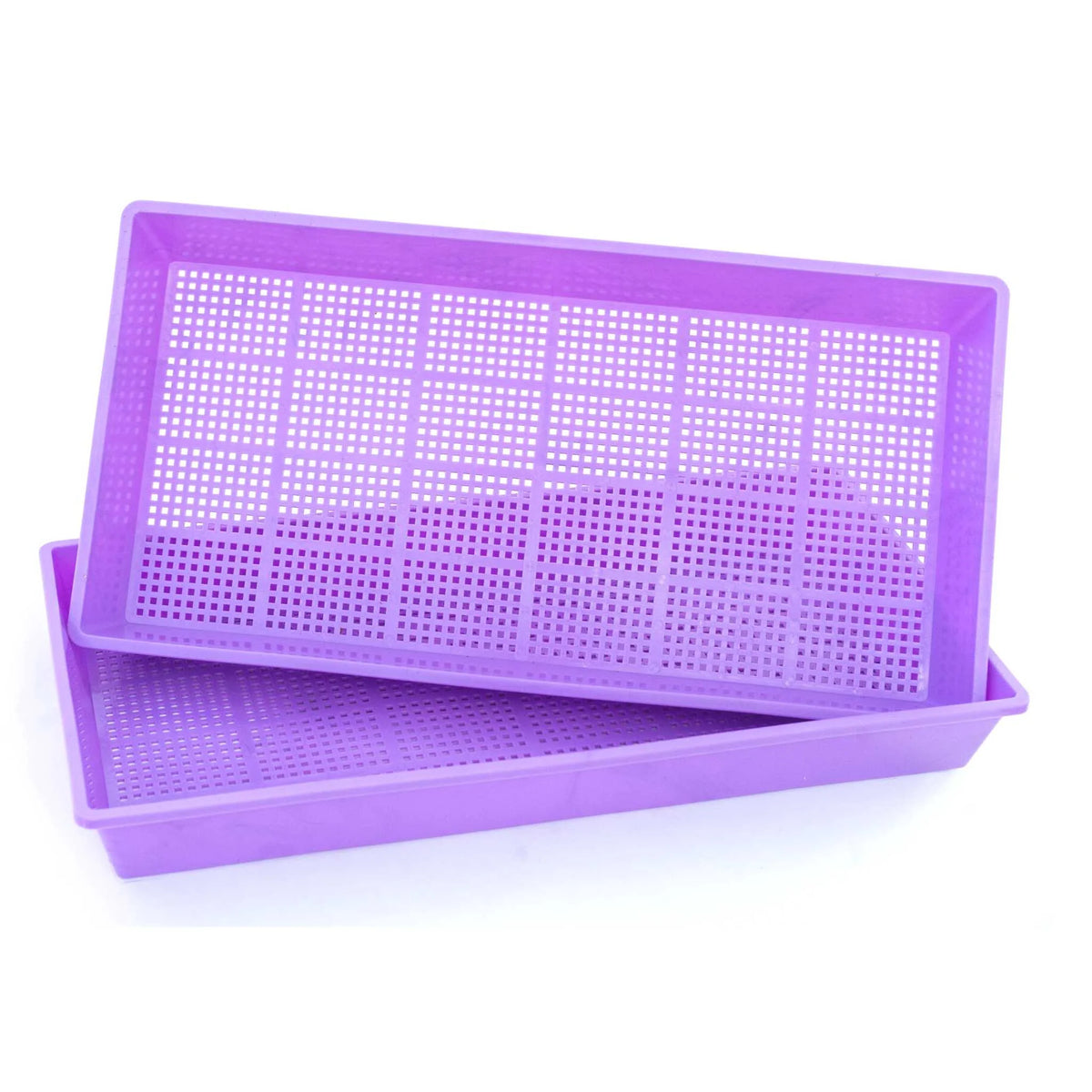 Bootstrap Farmer Heavy Duty Deep Mesh Tray 10x20 - Purple