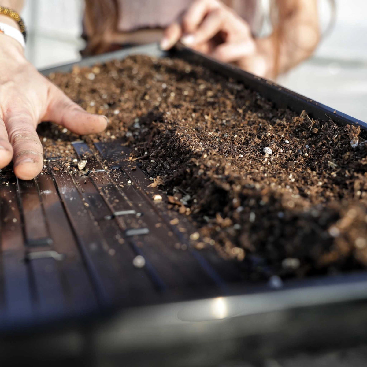 Bootstrap Farmer Heavy Duty Microgreen Shallow Tray 10x20 - Black
