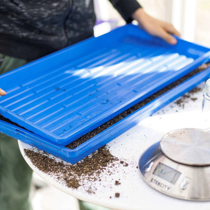 Bootstrap Farmer Heavy Duty Microgreen Shallow Tray 10x20