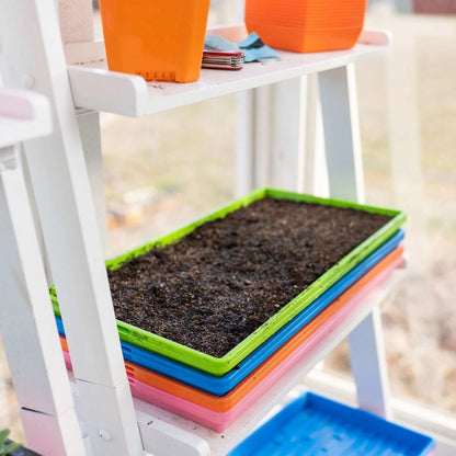 Bootstrap Farmer Heavy Duty Microgreen Shallow Tray 10x20