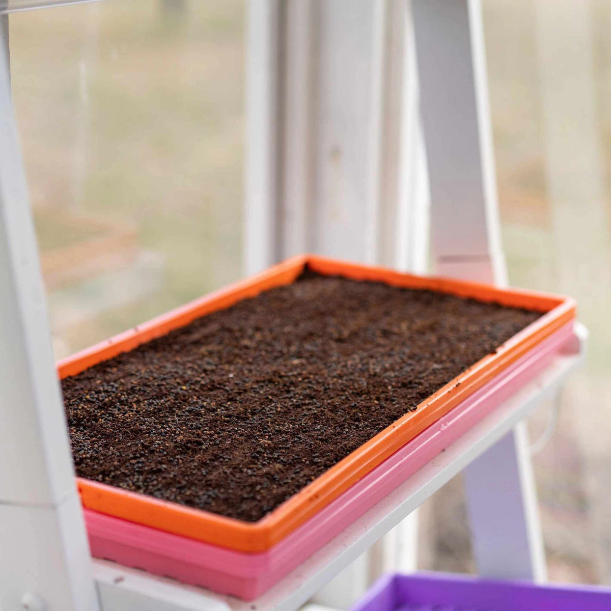 Bootstrap Farmer Heavy Duty Microgreen Shallow Tray 10x20