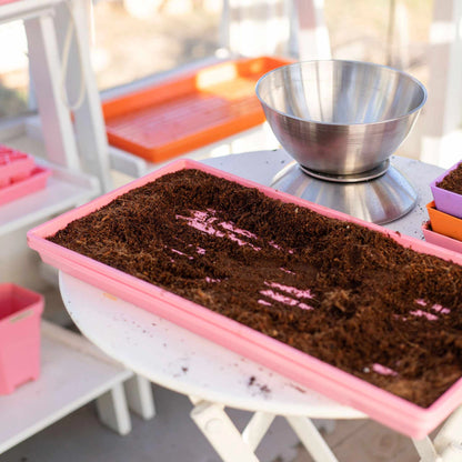 Bootstrap Farmer Heavy Duty Microgreen Shallow Tray 10x20