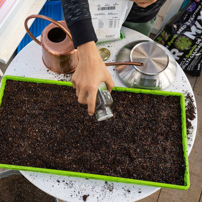 Bootstrap Farmer Heavy Duty Microgreen Shallow Tray 10x20