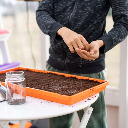 Bootstrap Farmer Heavy Duty Microgreen Shallow Tray 10x20