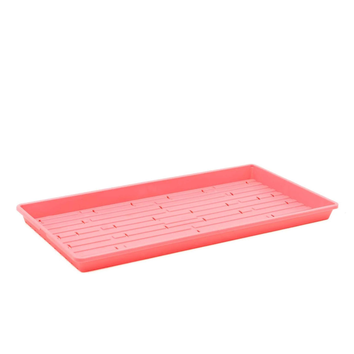 Bootstrap Farmer Heavy Duty Microgreen Shallow Tray 10x20 - Pink (Holes)