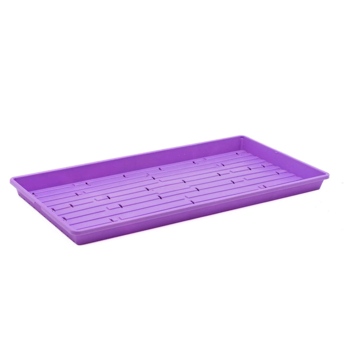 Bootstrap Farmer Heavy Duty Microgreen Shallow Tray 10x20 - Purple (Holes)