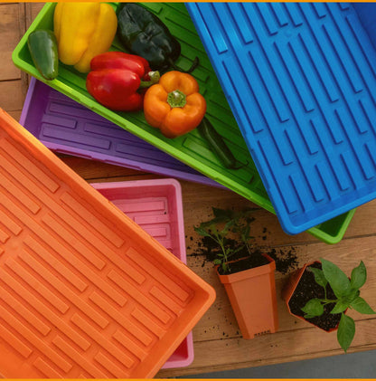 Bootstrap Farmer Heavy Duty Propagation Tray 10x20 - Purple