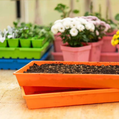 Bootstrap Farmer Heavy Duty Propagation Tray 10x20 - Purple
