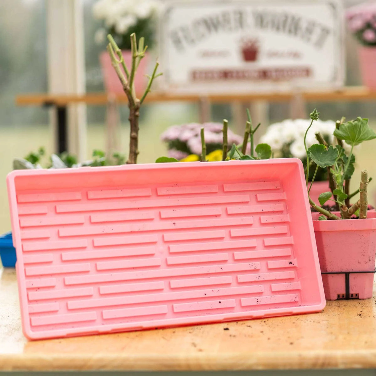 Bootstrap Farmer Heavy Duty Propagation Tray 10x20 - Purple