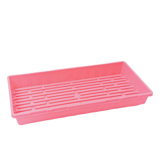 Bootstrap Farmer Heavy Duty Propagation Tray 10x20 - Pink