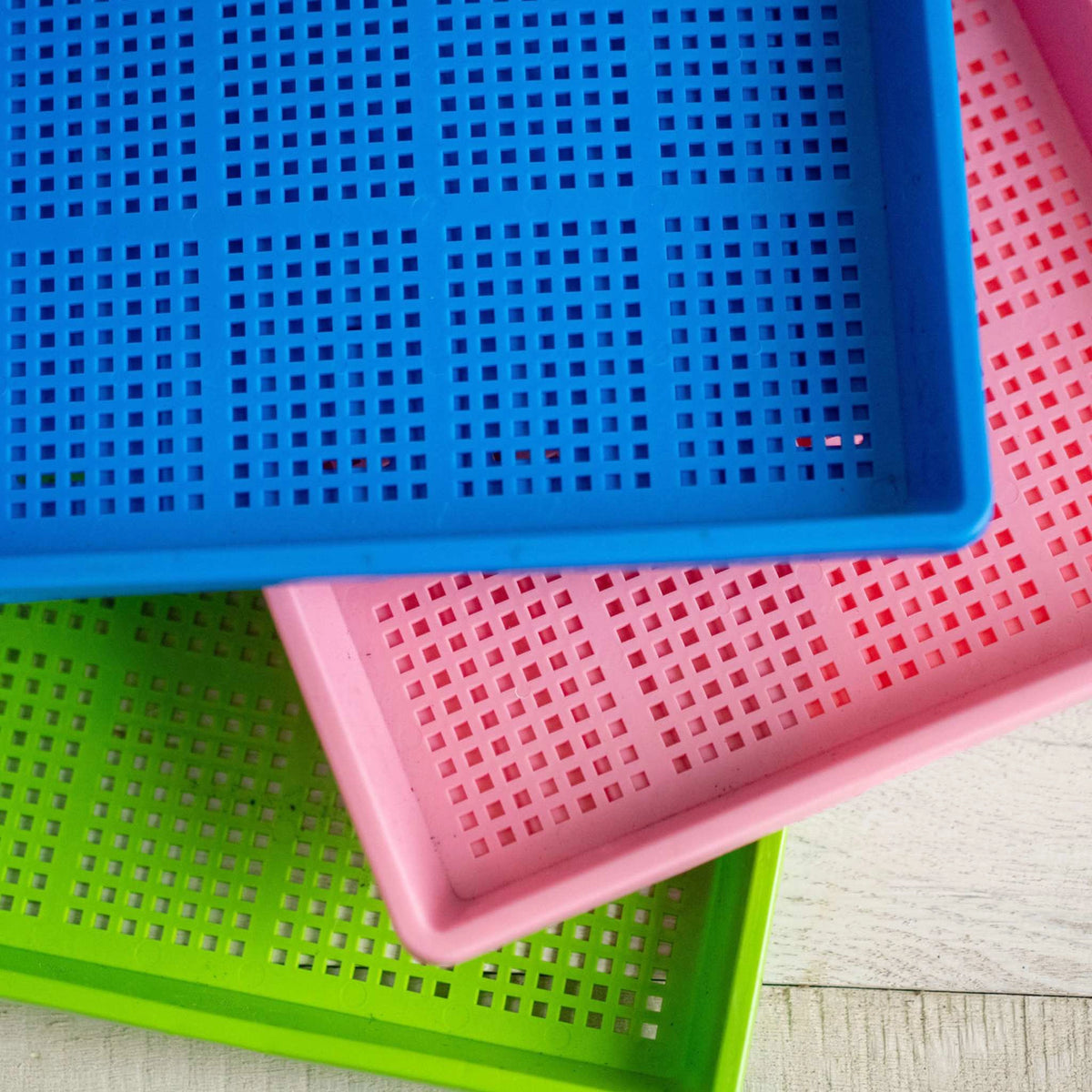 Bootstrap Farmer Heavy Duty Shallow Mesh Tray 10x20 - Blue