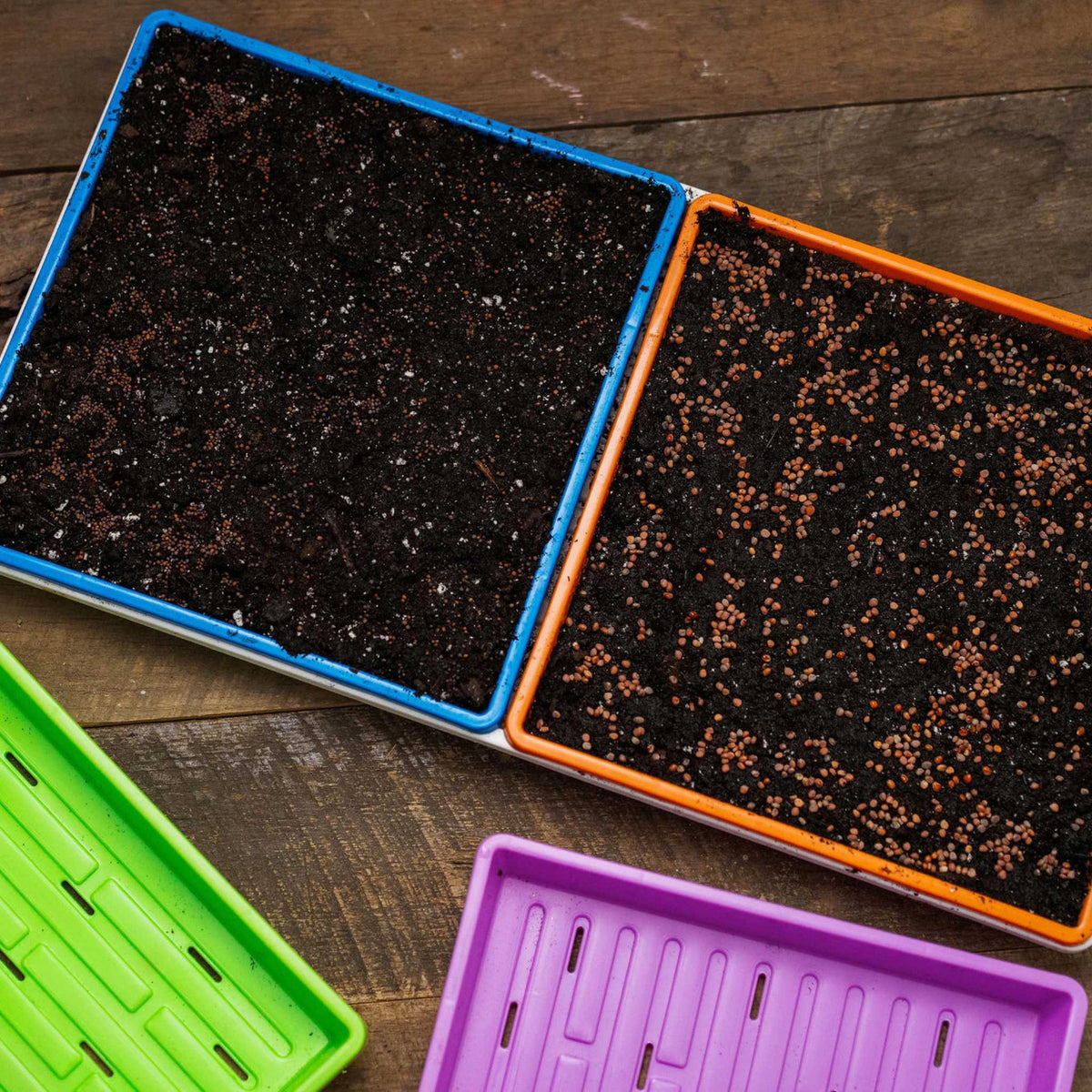 Bootstrap Farmer Heavy Duty Shallow Tray 10x10 - Black (Holes)