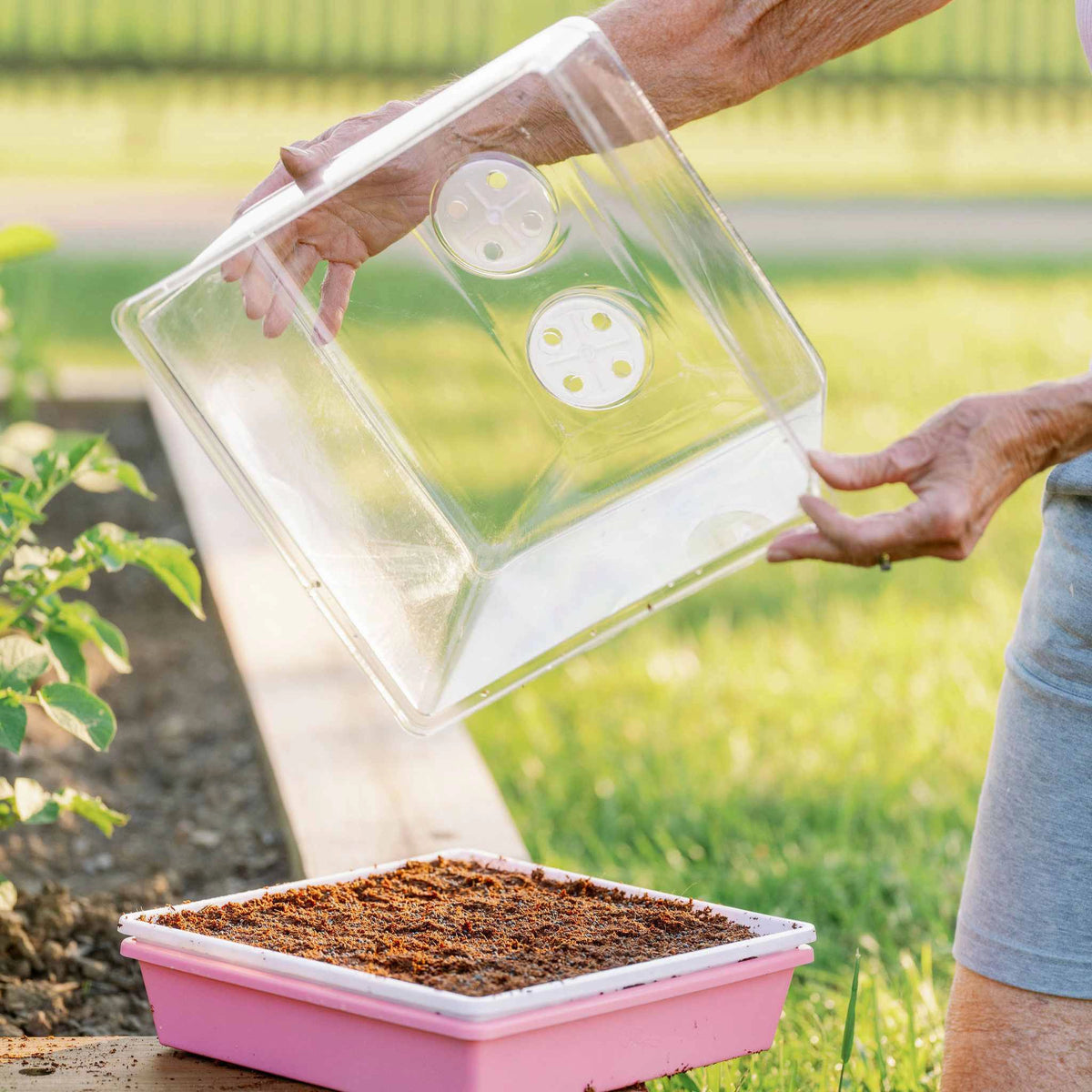 Bootstrap Farmer Vented Humidity Dome 1010 - Clear