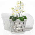 Breathable Transparent Slotted Orchid Pot With Saucer