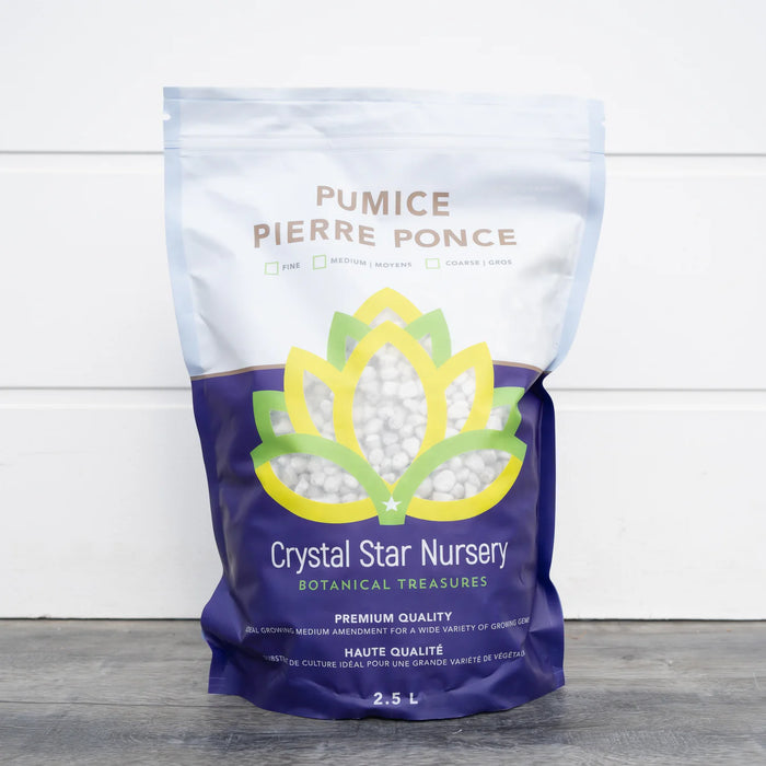 CSN Pumice 2.5 Litres - Coarse Grade