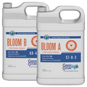 Current Culture Bloom A - 1 Gallon