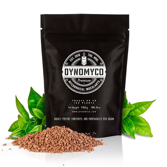 Dynomyco Premium Mycorrhizal - 100 Grams