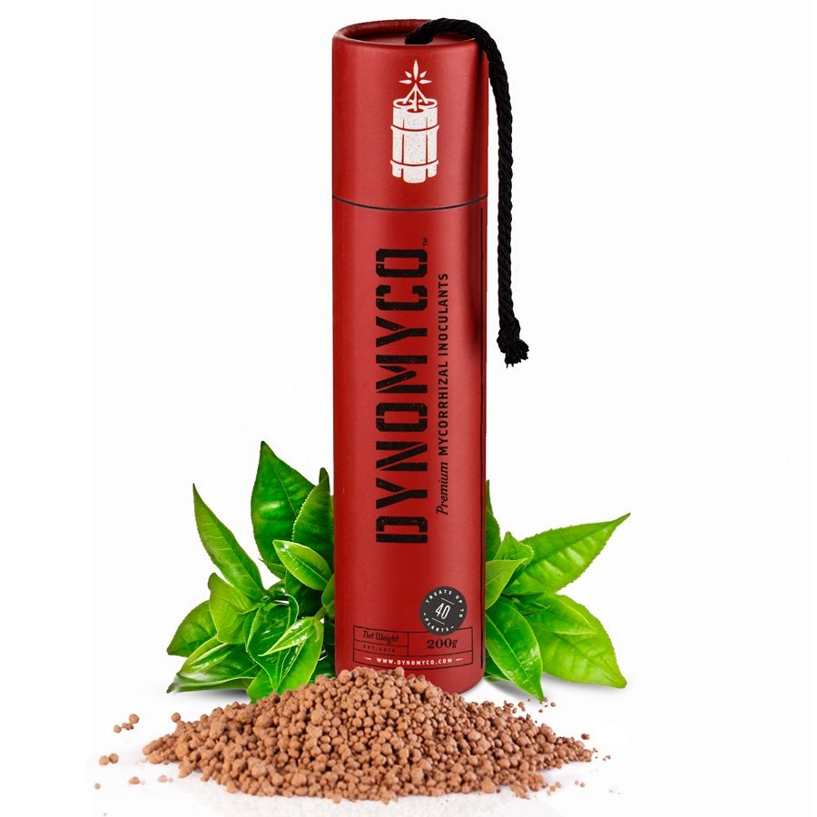Dynomyco Premium Mycorrhizal - 200 Grams