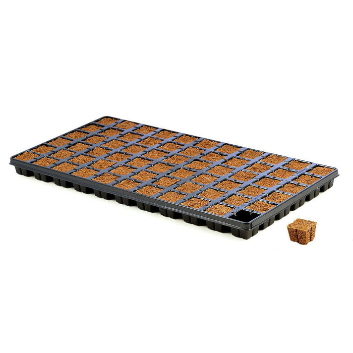 Eazy Plug CT66 - Case of 10