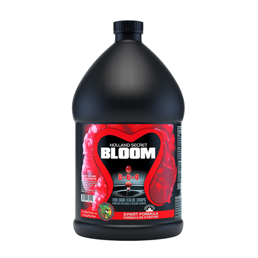 Future Harvest Holland Secret Bloom - 4 升