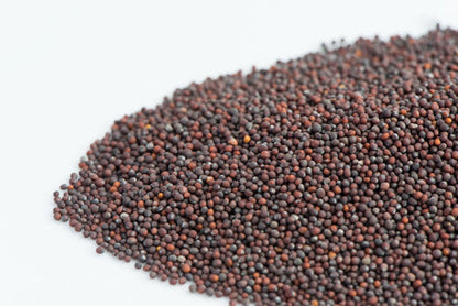 Mumm's Sprouting Seeds Green Kale - 100 Grams