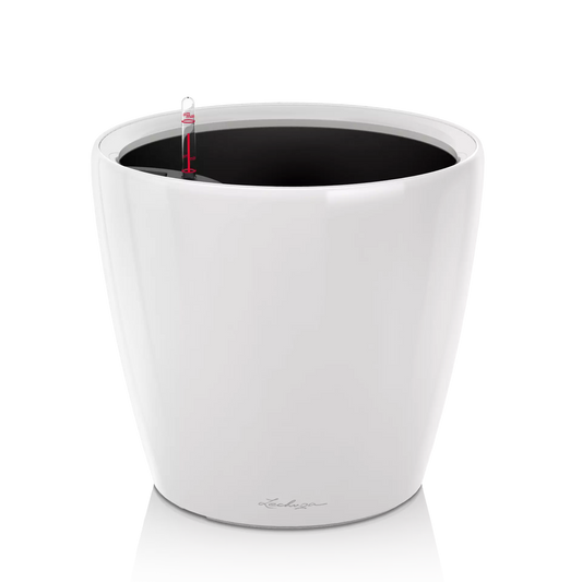 Lechuza Classico LS 21 - Silver