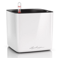 Lechuza Cube Glossy 16