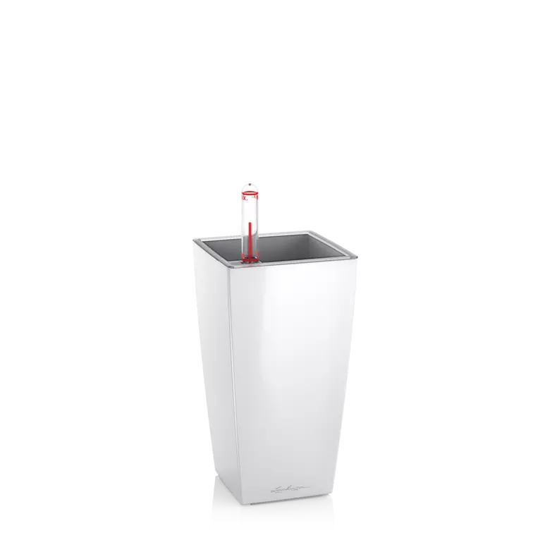 Lechuza Mini Cubi - White