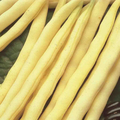 McKenzie Seeds Bean Seeds, Pencil Pod Black Wax (Bush)