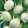 McKenzie Seeds Fennel Seeds