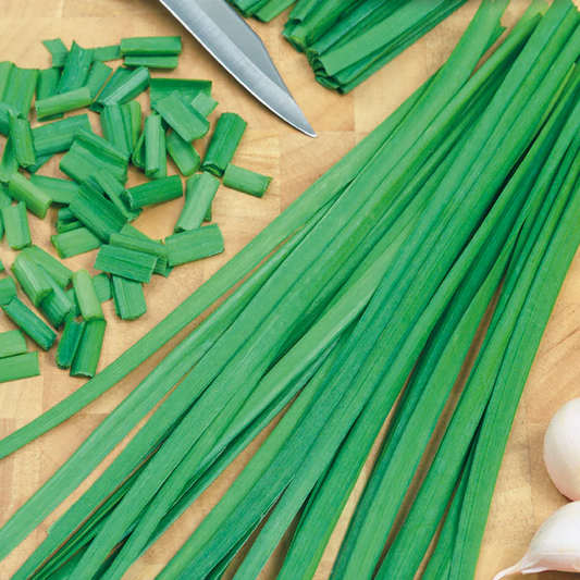 McKenzie Seeds Organic Chives Seeds, Garlic
