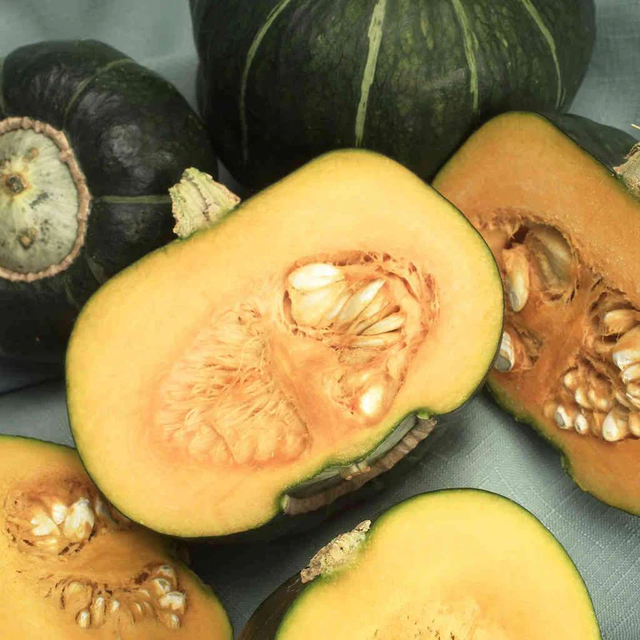 McKenzie Seeds Organic Squash Seeds, Buttercup