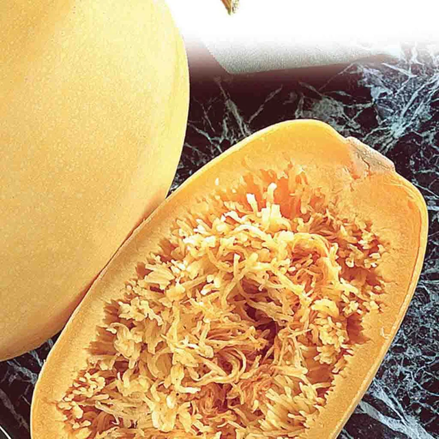 McKenzie Seeds Organic Squash Seeds, Vegetable Spaghetti Pasta