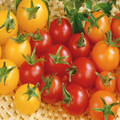 McKenzie Seeds Tomato Seeds, Cherry Mix F1