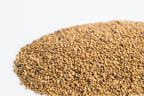 Mumm's Sprouting Seeds Alfalfa - 125 Grams