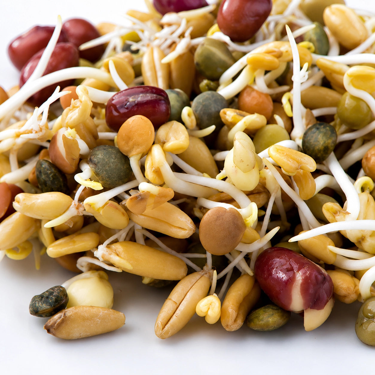 Mumm's Sprouting Seeds Ancient Eastern Blend - 250 Grams