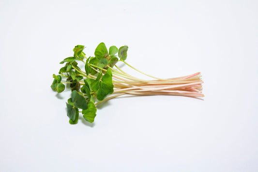 Mumm's Sprouting Seeds Buckwheat - 100 Grams