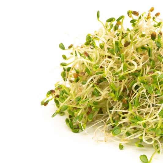 Mumm's Sprouting Seeds Red Clover - 125 Grams