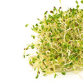 Mumm's Sprouting Seeds Booster pour sandwichs - 250 grammes