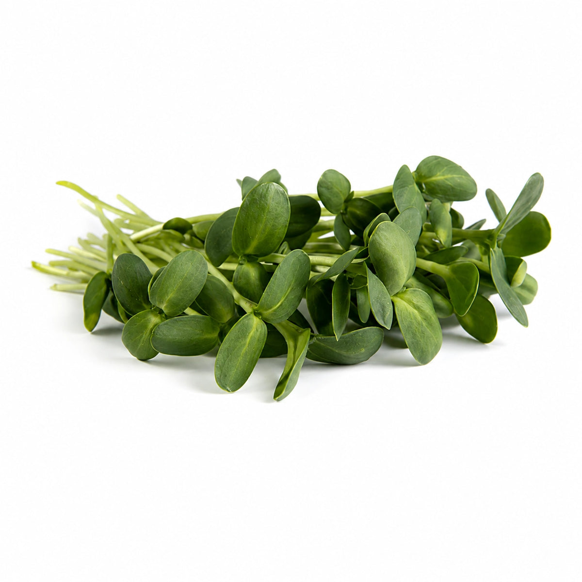 Mumm's Sprouting Seeds Sunflower - 150 Grams