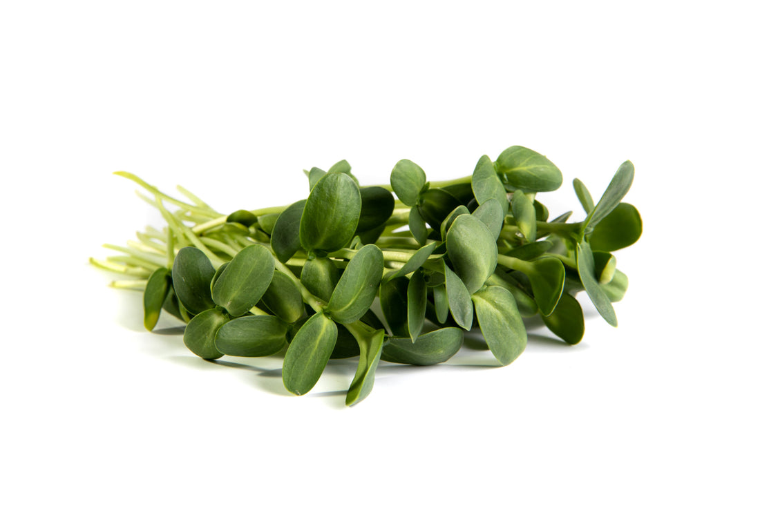 Mumm's Sprouting Seeds Sunflower - 150 Grams